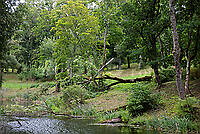 202608230V5A9988.jpg