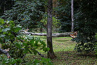 202608230V5A0008.jpg