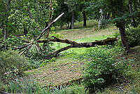 202608230V5A9986.jpg