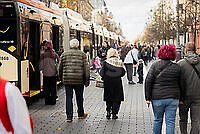 20261025P_A_7343.jpg