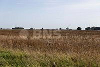 20260814PPEL0923_1408.jpg