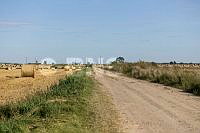 20260814PPEL0950_1408.jpg