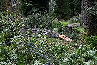 202608230V5A0006.jpg