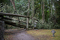 202608220V5A9839.jpg