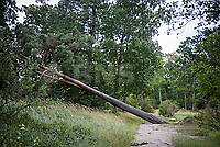 202608230V5A0001.jpg