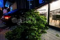 20260605P_A_6243.jpg