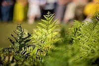 20260623P_A_8729.jpg