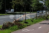 20260724ppel4800_2407.jpg