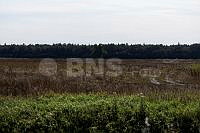 20260814PPEL0931_1408.jpg