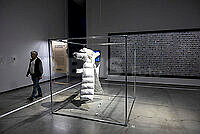 20261008ppel7250.jpg