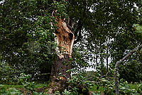 202608230V5A9982.jpg