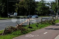 20260724ppel4794_2407.jpg
