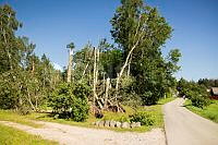 20260803P_A_2302.jpg