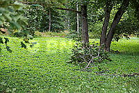 202608230V5A9996.jpg