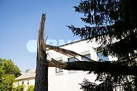 20260803P_A_2218.jpg