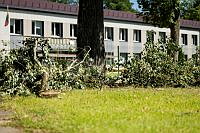 20260803P_A_2198.jpg