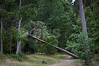 202608230V5A0004.jpg
