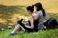 20260603P_A_4857.jpg