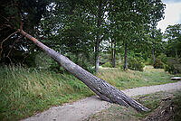 202608230V5A0002.jpg