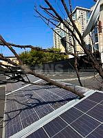 20260801b08bed9a-c362-4ea9-8ebf-493671e8edf5.jpg