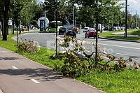 20260724ppel4813_2407.jpg