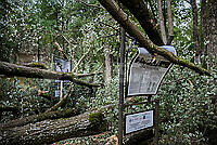 202608220V5A9842.jpg
